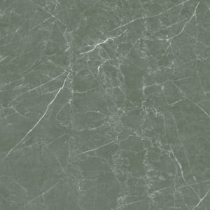 Ceusa - Toronto BW Pol